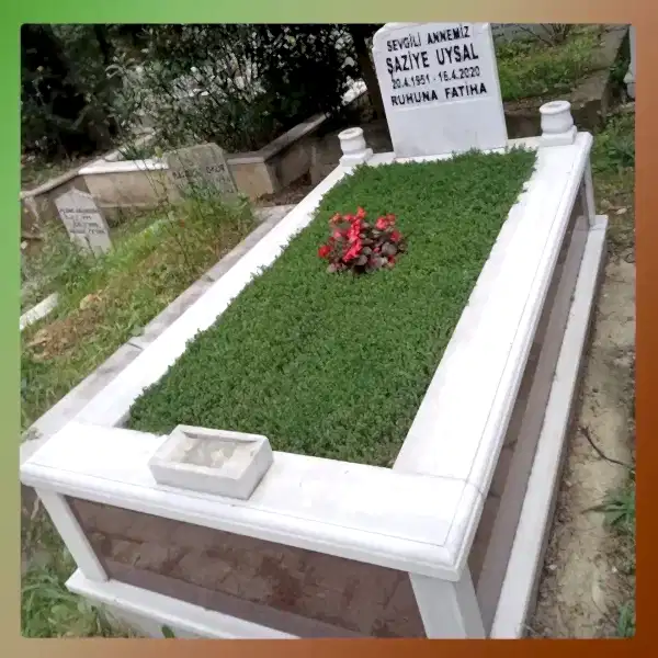 Çalışma 25