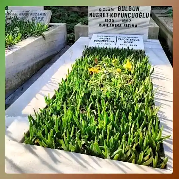 Çalışma 8