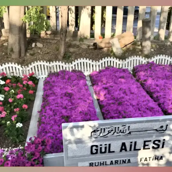 Çalışma 99